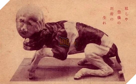 Điểm mặt 4 truyền thuyết đô thị nổi tiếng kinh dị tại Hàn Quốc 3