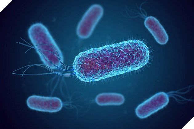 BacterAI: Mô hình AI mới cho phép robot thực hiện 10.000 thí nghiệm khoa học mỗi ngày