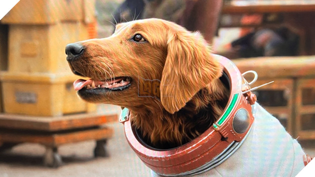 Cosmo của Guardians of the Galaxy và những điều thú vị về cô chó có siêu năng lực này