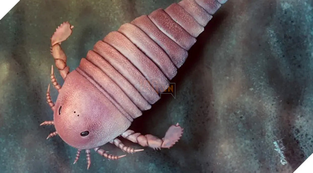 Phát hiện hoá thạch bọ biển cổ đại, 450 triệu năm tuổi tại Trung Quốc