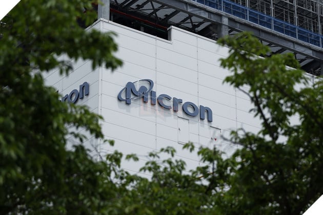 Mỹ lên kế hoạch trả đũa Trung Quốc sau lệnh cấm Micron