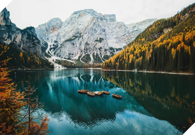 Adobe Photoshop trình làng công cụ tạo hình ảnh bằng AI 