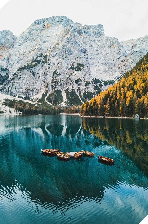 Adobe Photoshop trình làng công cụ tạo hình ảnh bằng AI 