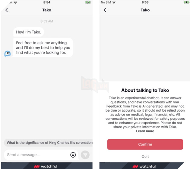 Đấu tranh cho trí tuệ nhân tạo, TikTok thử nghiệm AI chatbot "Dogu" ở Philippines