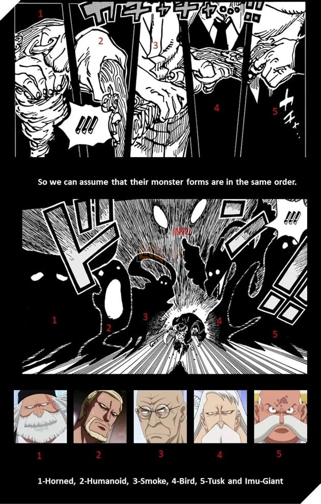 one piece trái ác quỷ ngũ lão tinh