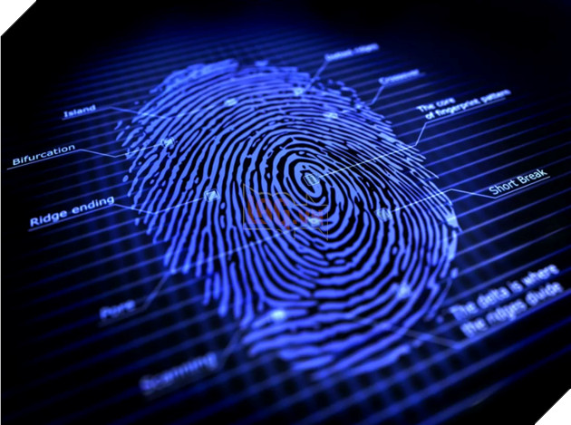 Windows 11 thử nghiệm đăng nhập bằng sinh trắc học