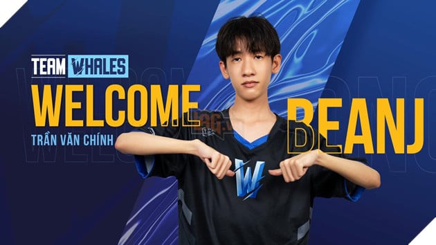 LMHT: Team Whales trở thành ứng cử viên sáng giá cho ngôi vị Vô địch VCS Hoàng Hôn