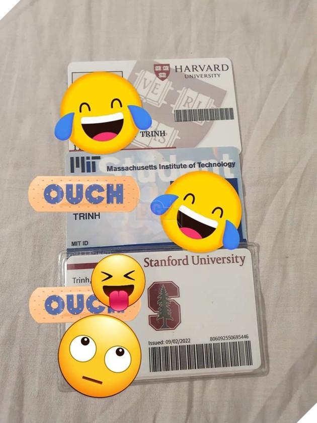 Flex đến cơ thế cuối cùng là gì