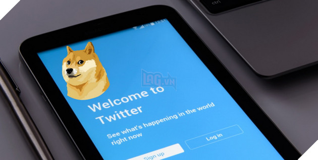 Elon Musk dự tính khai tử tên gọi Twitter và logo con chim xanh để đổi thành X khá khó hiểu 4