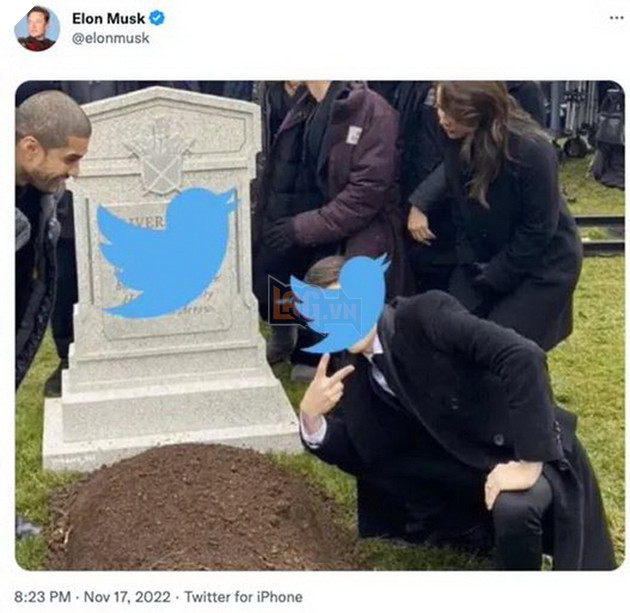 Elon Musk dự tính khai tử tên gọi Twitter và logo con chim xanh để đổi thành X khá khó hiểu 5