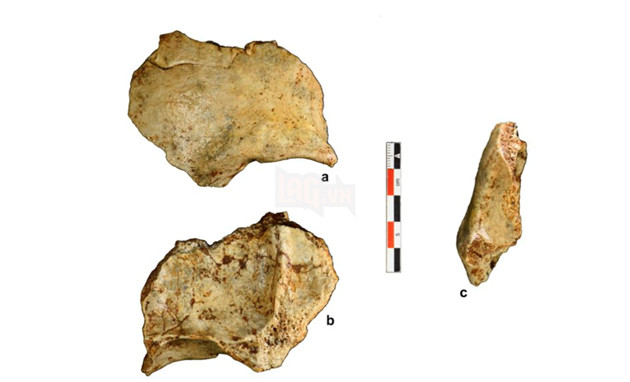 Hóa thạch 86.000 năm này là bằng chứng về loài người xuất hiện đầu tiên ở Đông Nam Á
