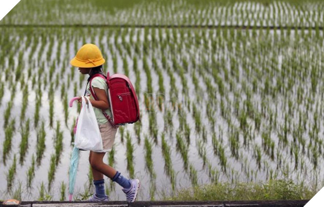 ấu dâm nhật bản