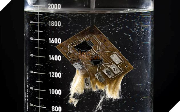 nhằm giảm rác thải điện tử, Infineon phát triển thành công PCB phân huỷ trong nước