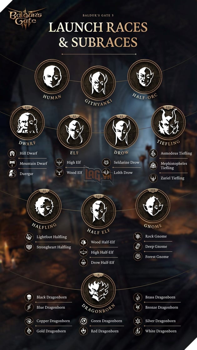 Những chủng tộc của Dungeons & Dragons hoàn toàn có thể góp mặt trong Baldur's Gate 3
