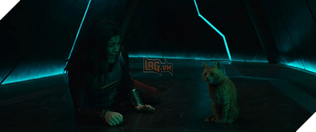 The Marvels: Nỗi khổ của Brie Larson khi không thể ghi hình cùng một diễn viên đặc biệt 3