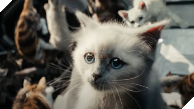 The Marvels: Nỗi khổ của Brie Larson khi không thể ghi hình cùng một diễn viên đặc biệt 4