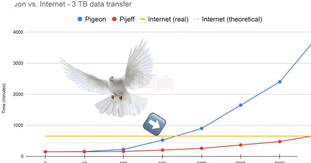 Chim bồ câu có thể truyền dữ liệu nhanh hơn cáp quang không? 