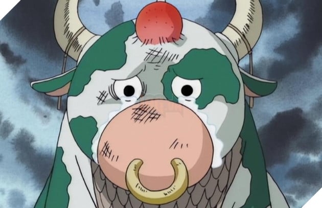 Momoo one piece live-action