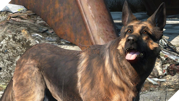 Nhiều dấu hiệu cho thấy các loài vật nuôi đã tuyệt chủng trong Starfield