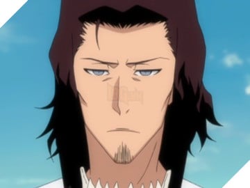 Bảng xếp hạng chiều cao của dàn nhân vật trong anime nổi tiếng Bleach Phần 2  8