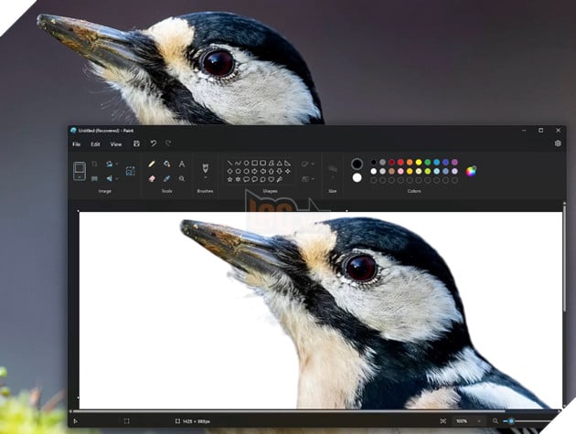 Ứng dụng Paint trên Windows 11 bổ sung tính năng xoá phông nền vô cùng đơn giản