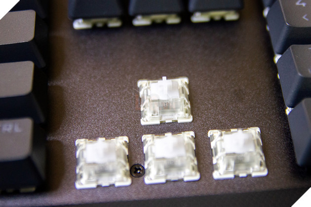 Review CORSAIR K70 Max: Bàn phím gaming đầu tiên của CORSAIR được trang bị switch từ-cơ học MGX