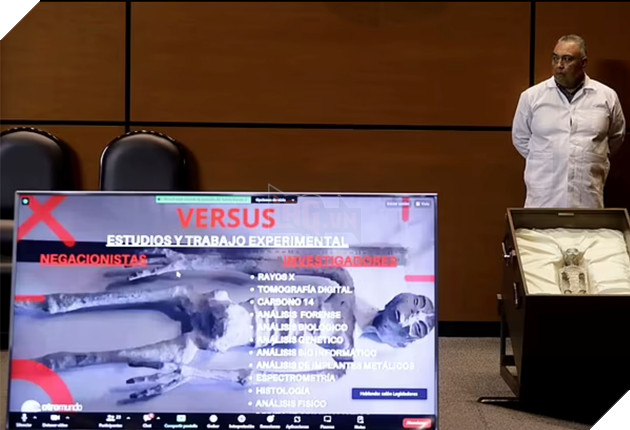 Hoá thạch 1.000 năm tuổi "người ngoài hành tinh" được trưng bày tại Mexico