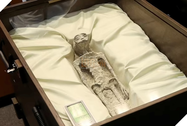 Hoá thạch 1.000 năm tuổi "người ngoài hành tinh" được trưng bày tại Mexico