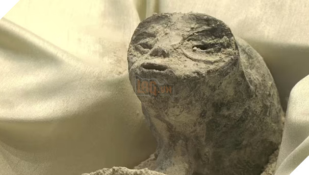 Hoá thạch 1.000 năm tuổi "người ngoài hành tinh" được trưng bày tại Mexico