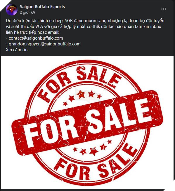 LMHT: Saigon Buffalo bất ngờ đăng tin bán suất thi đấu khiến fan hoang mang