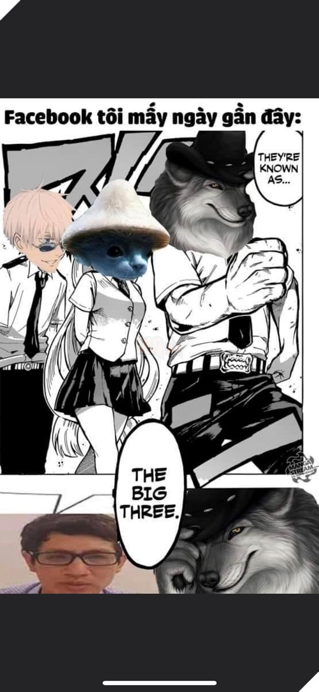 Smurf Cat/Blue Mushroom Cat là gì - Meme xì trum nón nấm mặt mèo đến từ đâu mà nổi đến vậy? 6