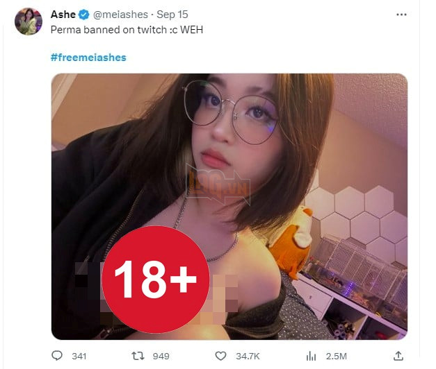 Đặt tiêu đề buổi stream quá hàm ý khiến Twitch ngứa mắt, nữ streamer dính án phạt kịch khung