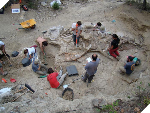 Phát hiện loài khủng long cổ dài mới từ hoá thạch 122 triệu năm