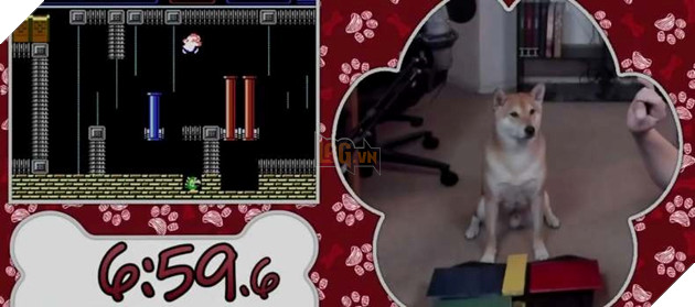 Awesome Games Done Quick 2024 sẽ chào đón màn speedrun của một chú chó