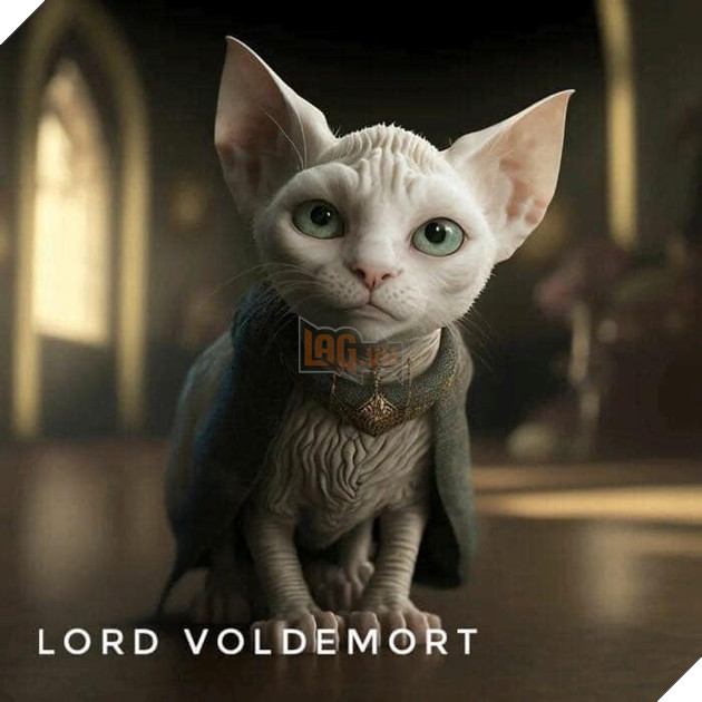 Hình ảnh mèo ngầu, mèo dễ thương khi sắm vai các nhân vật nổi tiếng trong phim Lord-voldemort.1_DAMC