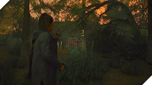 Alan Wake 2: Tổng hợp ví trí và cách mở khóa toàn bộ Cult Stash trong game Phần 1  8