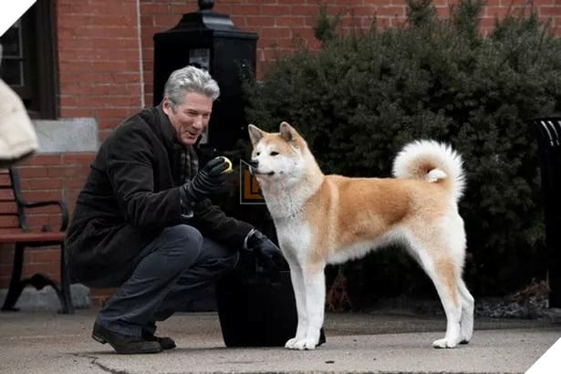  TOP những người bạn bốn chân được yêu thích nhất màn ảnh Phần 1  4