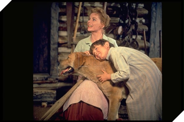  TOP những người bạn bốn chân được yêu thích nhất màn ảnh Phần 1  5