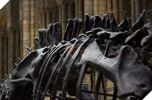 Nghiên cứu mới phát hiện mây bụi là nguyên nhân chính khiến mùa đông kéo dài 15 năm, xóa sổ loài khủng long