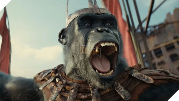 Kingdom of the Planet of the Apes: Hé lộ những thông tin mới nhất về phim Kingdom-of-the-Planet-of-the-Ape.2_WBQS