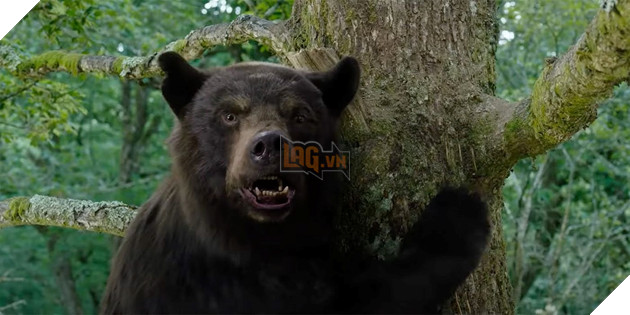 quốc - Oppenheimer tạo thành tích ấn tượng cho nền điện ảnh IMAX trên trường quốc tế Cocaine-bear-movie-1_ZXVO