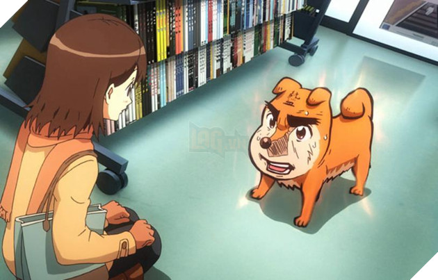 truyền thuyết đô thị Chó Mặt Người