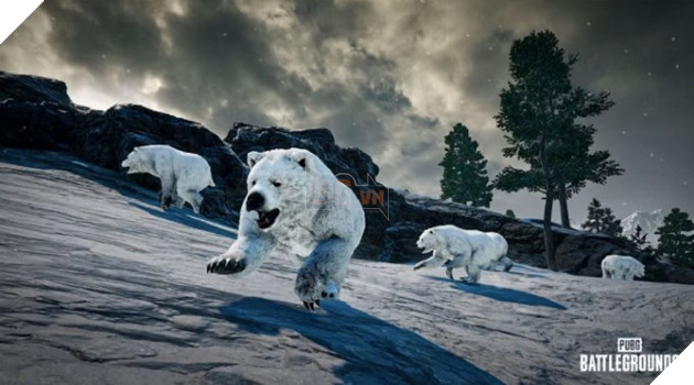 PUBG: Đội tuyển rời khỏi giải đấu lớn chỉ vì bị gấu bắc cực tấn công