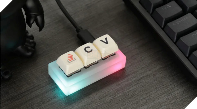 Một khảo sát cho thấy 40% sinh viên không biết công dụng của CTRL+C và CTRL+V