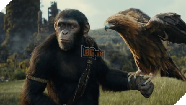 Đạo diễn Kingdom of the Planet of the Apes hé lộ bối cảnh chính của phim 2