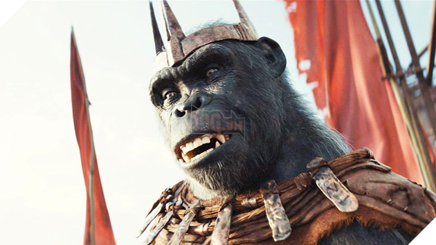 Đạo diễn Kingdom of the Planet of the Apes hé lộ bối cảnh chính của phim 4