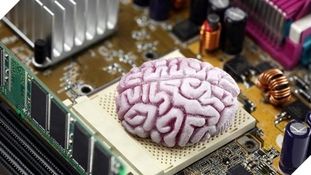 Siêu máy tính mô phỏng não người sẽ xuất hiện đầu tiên trên thế giới vào năm sau