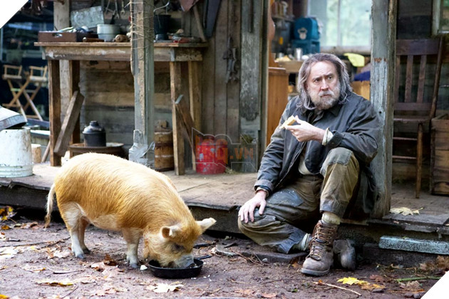 Francis Ford Coppola tự hào là chú của Nicolas Cage khi xem Pig và Dream Scenario 3