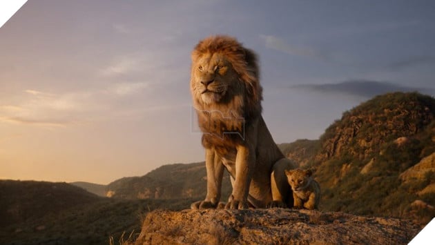 Phần tiền truyện live-action The Lion King về vua Mufasa hứa hẹn khai thác khía cạnh mới 3