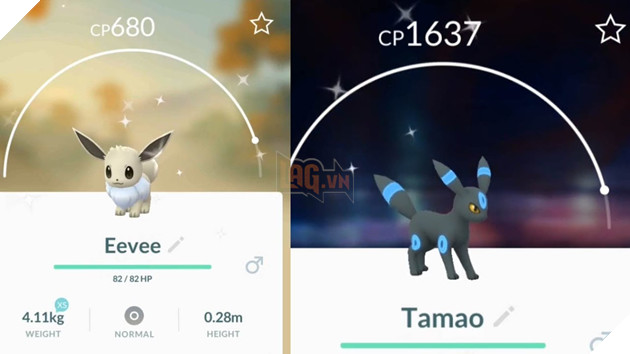 Pokemon Go: Top 10 Shiny Pokemon hiếm và được game thủ săn đón nhiều nhất Phần 2 4